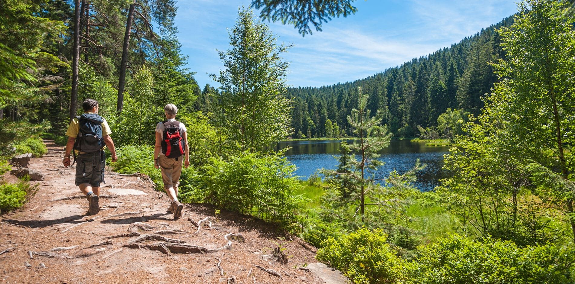 Vacances de randonnées en Belgique avec daydreams