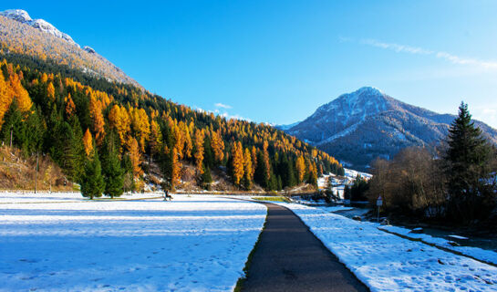 HOTEL ROSALPINA Soraga di Fassa (TN)