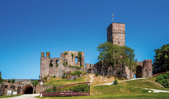 ELAYA HOTEL FRANKFURT OBERURSEL Oberursel