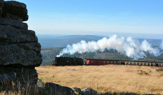 LANDHOTEL HARZ Thale