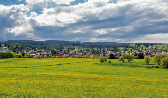 HOTEL & RESTAURANT LANDHAUS FALKENSTEIN Tambach