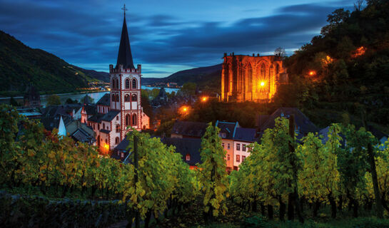 AKZENT WALDHOTEL RHEINGAU Geisenheim