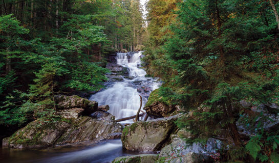 MAIERS HOTEL-RESORT Eisenstein