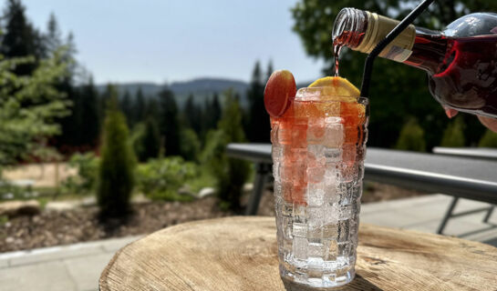 MAIERS HOTEL-RESORT Eisenstein