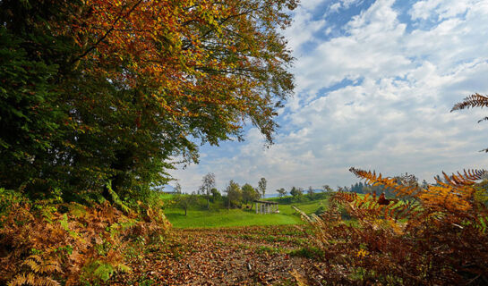 TERME SNOVIK Laze v Tuhinju