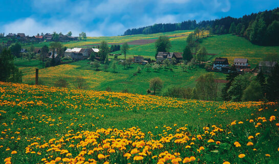 LANDHOTEL OSTERLAMM Gruenhain-Beierfeld