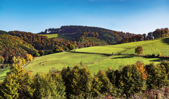 WALDHOTEL WILHELMSHÖHE Freudenberg