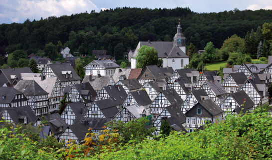 WALDHOTEL WILHELMSHÖHE Freudenberg