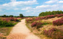 FLETCHER WELLNESS-HOTEL BRABANT-MILL Mill