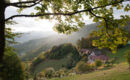AUBERGE DU MEHRBACHEL Saint-Amarin