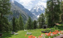 GRAND HOTEL & KURHAUS Arolla
