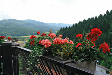 GASTHAUS SONNHALDE Biederbach