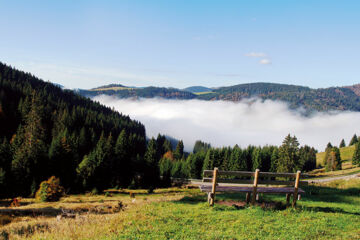 FERIENHOTEL SCHWARZWÄLDER HOF Feldberg-Altglashütten