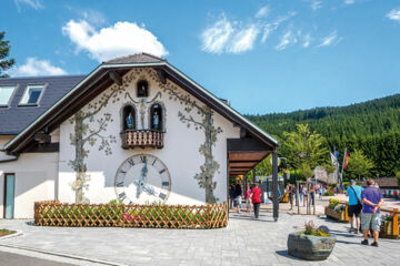 HOTEL-RESTAURANT BRAUEREI WALTER Waldshut-Tiengen