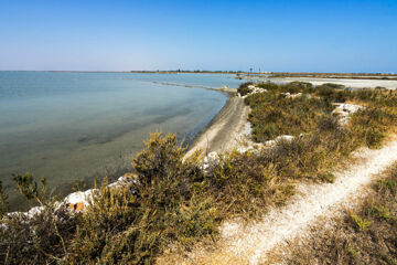 TENUTA SAN FRANCESCO Barletta