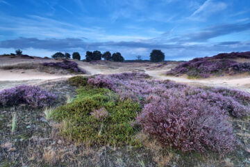 FLETCHER HOTEL-RESTAURANT DE ZEEGSER DUINEN Zeegse