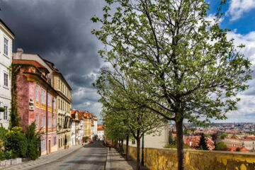 THE KING CHARLES (B&B) Praag
