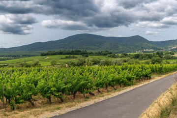 SUD HÔTEL Huttenheim SUD HÔTEL Huttenheim