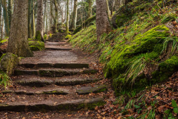 SUD HÔTEL Huttenheim SUD HÔTEL Huttenheim