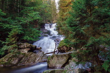 DAS ARBER-HOTEL AM ROTHBACH Bodenmais