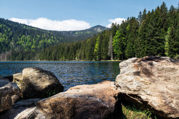 AKZENT WELLNESSHOTEL BAYERWALD-RESIDENZ Neukirchen (BA)