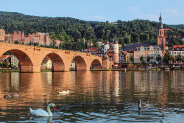 HOTEL RHEINGOLD (B&B) Gernsheim